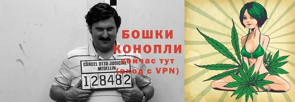 прущие грибы Ладушкин