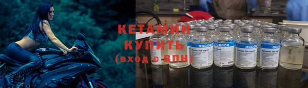 прущие грибы Ладушкин
