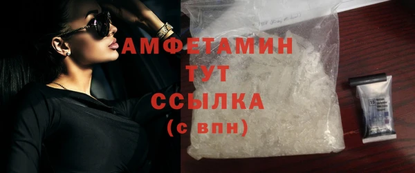 прущие грибы Ладушкин