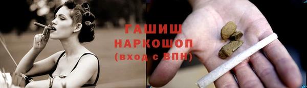 прущие грибы Ладушкин