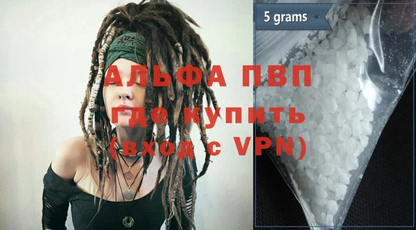 прущие грибы Ладушкин