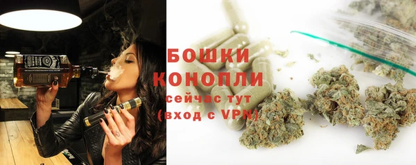 прущие грибы Ладушкин