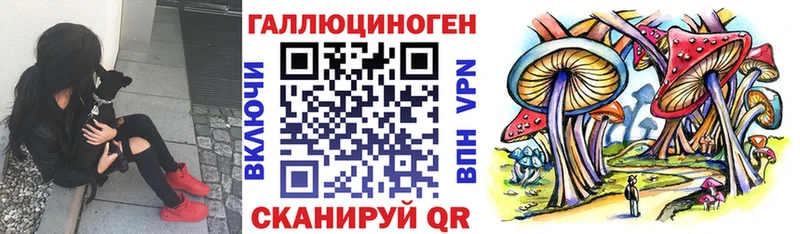 Псилоцибиновые грибы Psilocybine cubensis  Купить где  Дмитриев 